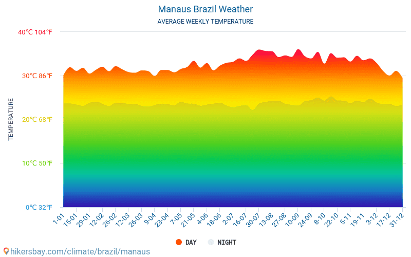马瑙斯 - 平均每月气温和天气 2015 - 2024 平均温度在 马瑙斯 多年来。 马瑙斯, 巴西 中的平均天气。 hikersbay.com