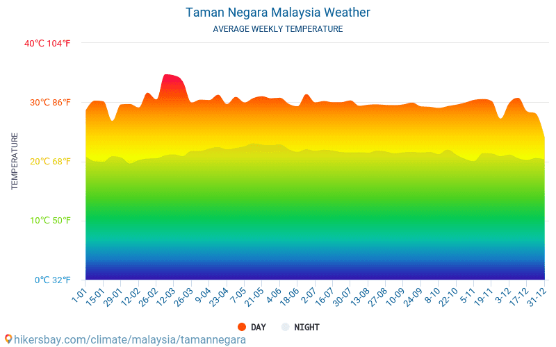 Taman Negara - Ortalama aylık sıcaklık ve hava durumu 2015 - 2024 Yıl boyunca ortalama sıcaklık Taman Negara içinde. Ortalama hava Taman Negara, Malezya içinde. hikersbay.com