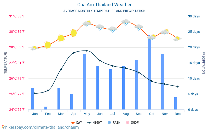 Cha Am - Genomsnittliga månatliga temperaturer och väder 2015 - 2024 Medeltemperaturen i Cha Am under åren. Genomsnittliga vädret i Cha Am, Thailand. hikersbay.com