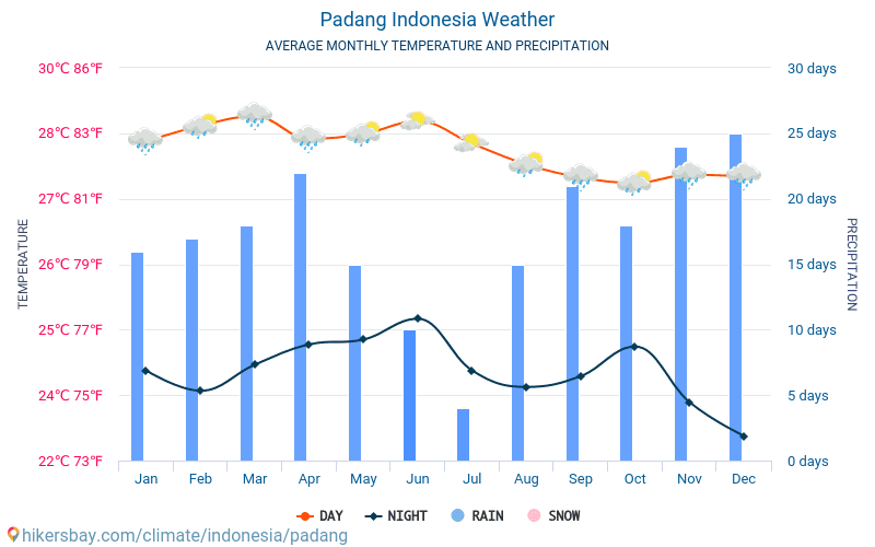 Padang - Average Monthly temperatures and weather 2015 - 2024 Average temperature in Padang over the years. Average Weather in Padang, Indonesia. hikersbay.com