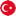 Türkçe