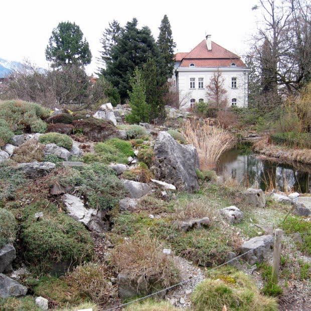 Botanical Garden of the University of Innsbruck