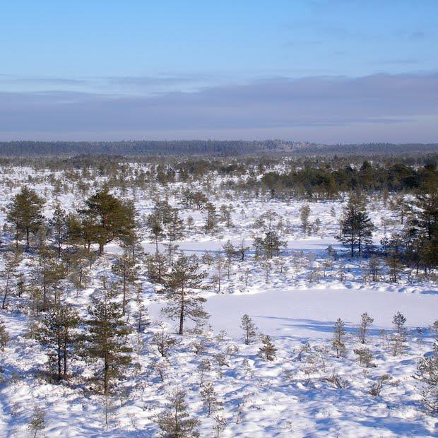 Põhja-Kõrvemaa Nature Reserve