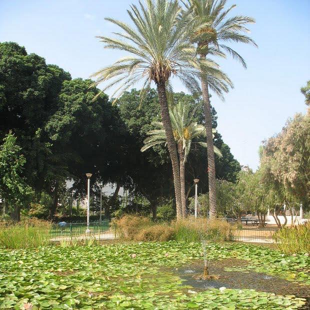 Meir Park, Tel Aviv
