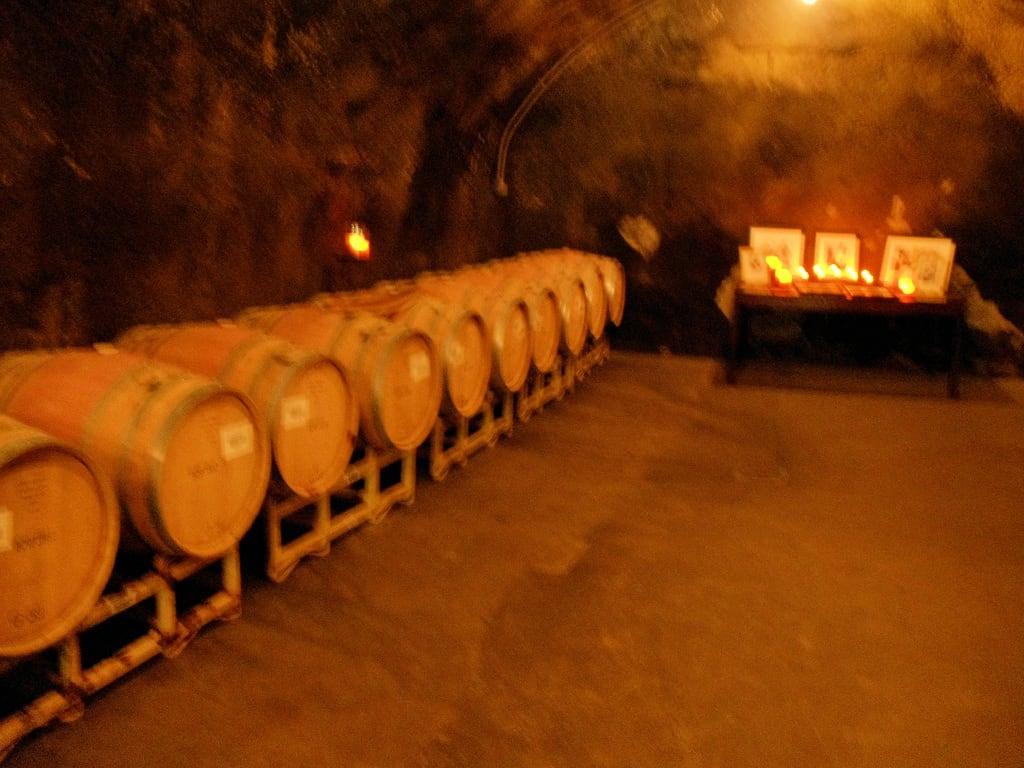 Bild av Beringer. carriagehouse calistoga winery vineyards grapes napavalley napa beringer rhinehouse beringervineyards leaningoak