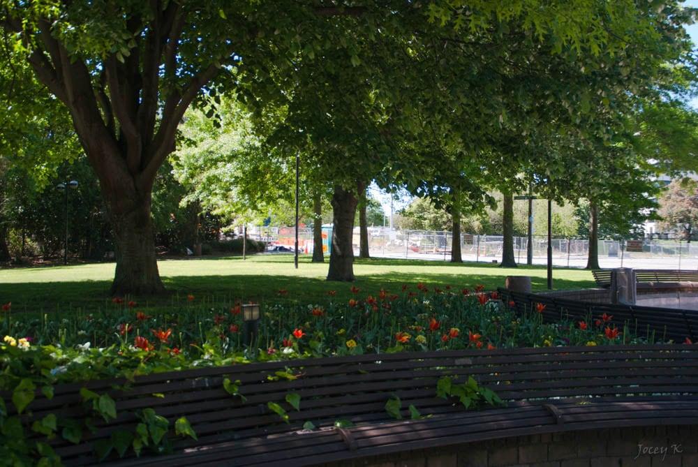 Изображение на James Cook Statue. park flowers trees newzealand christchurch plants seats victoriasq