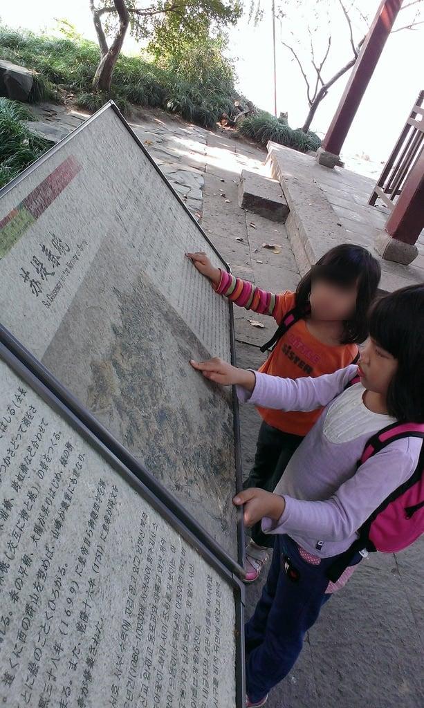 Afbeelding van 苏堤春晓. kids astrid 西湖 苏堤 蘇堤春曉 蘇堤 苏堤春晓 eplin