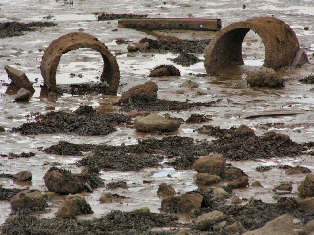 Зображення Пляж протяжністю 3254 м.. beach face pareidolia mud pipe shore lowtide