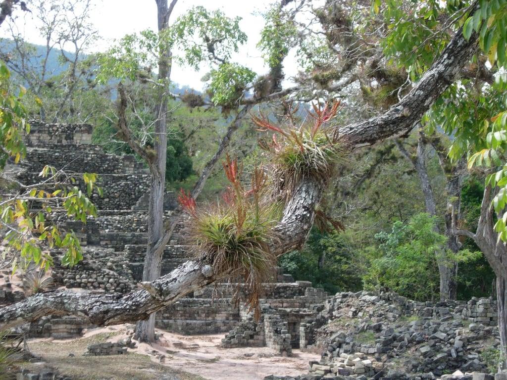 Afbeelding van Copan Ruins. chris america geotagged central honduras copan exodus geotoolyuancc geolat1483828 geolon89141779