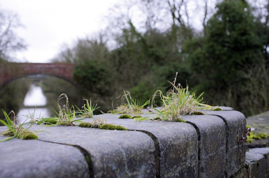 Afbeelding van Oxford Canal. bridge water grass canal moss rugby bricks oxford