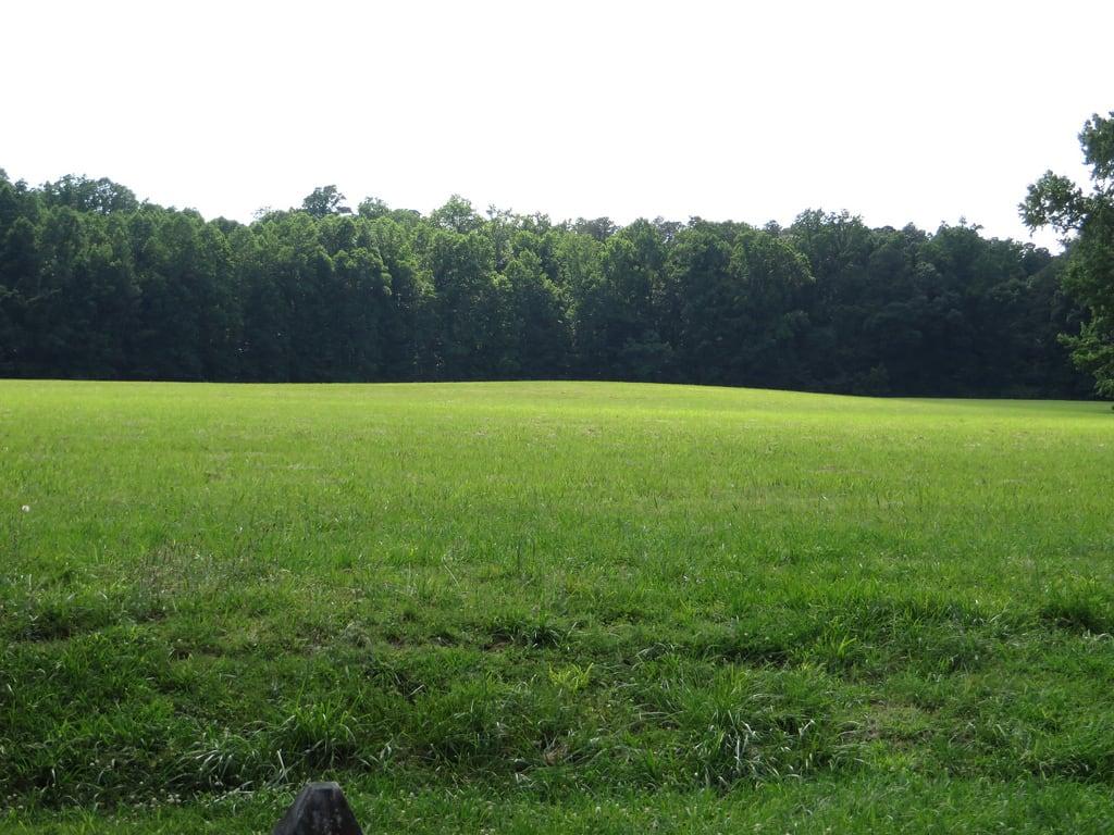 Image of Surrender Field. 