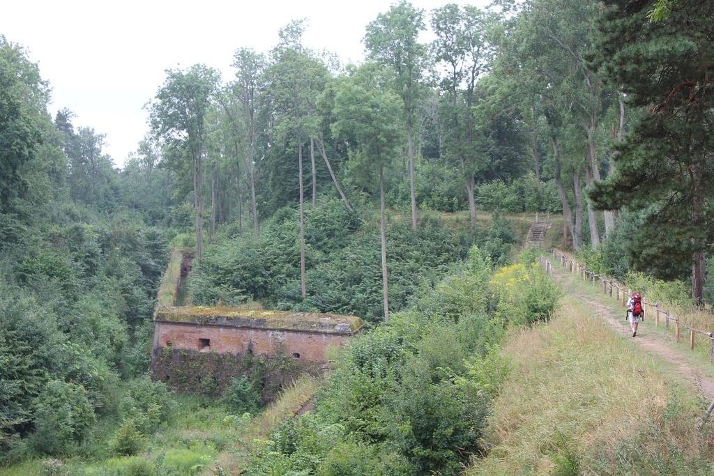 Image of Twierdza Boyen. forest fort picture poland fortress preussen twierdzaboyen