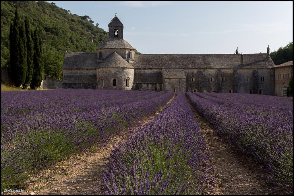 Obrázek Abbaye Notre-Dame de Sénanque. provence gordes monastère vaucluse abbaye senanque