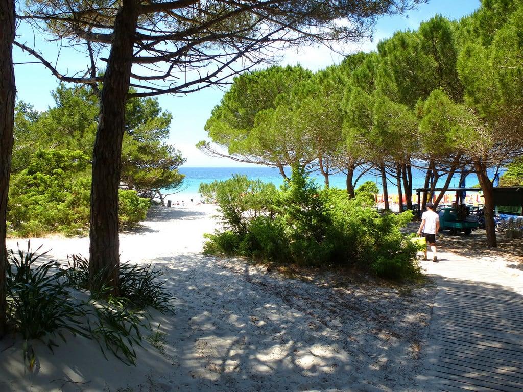 Attēls no Spiaggia di Maria Pia. sardegna italien summer beach strand italia sardinien alghero mariapia