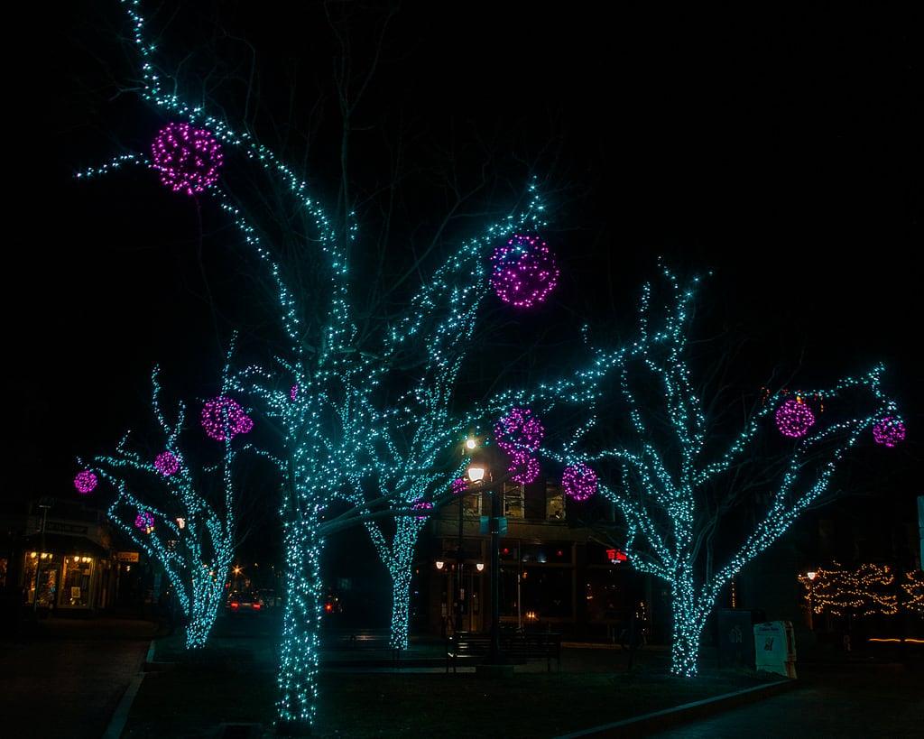 Longfellow Square の画像. christmas holiday portland lights maine newyears canon5d nightphoto holidaylights hanukkah henrywadsworthlongfellow longfellowsquare onelongfellowsquare lightroom5