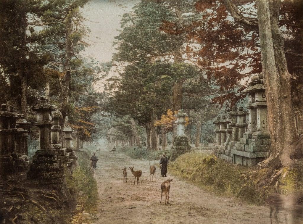Image of Kasuga Shrine. color monument paperprint handcolored albumen