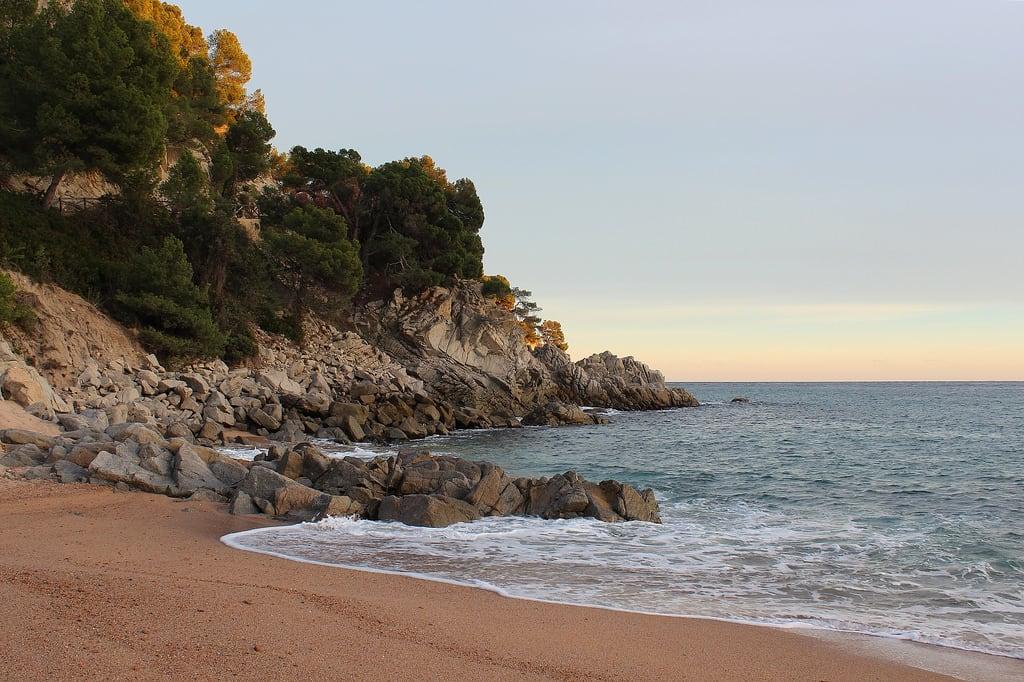 Platja de Llevant de Llorell 的形象. catalonia catalunya costabrava cala platja tossademar catalogne calallorell selvamarítima beachesofcostabrava