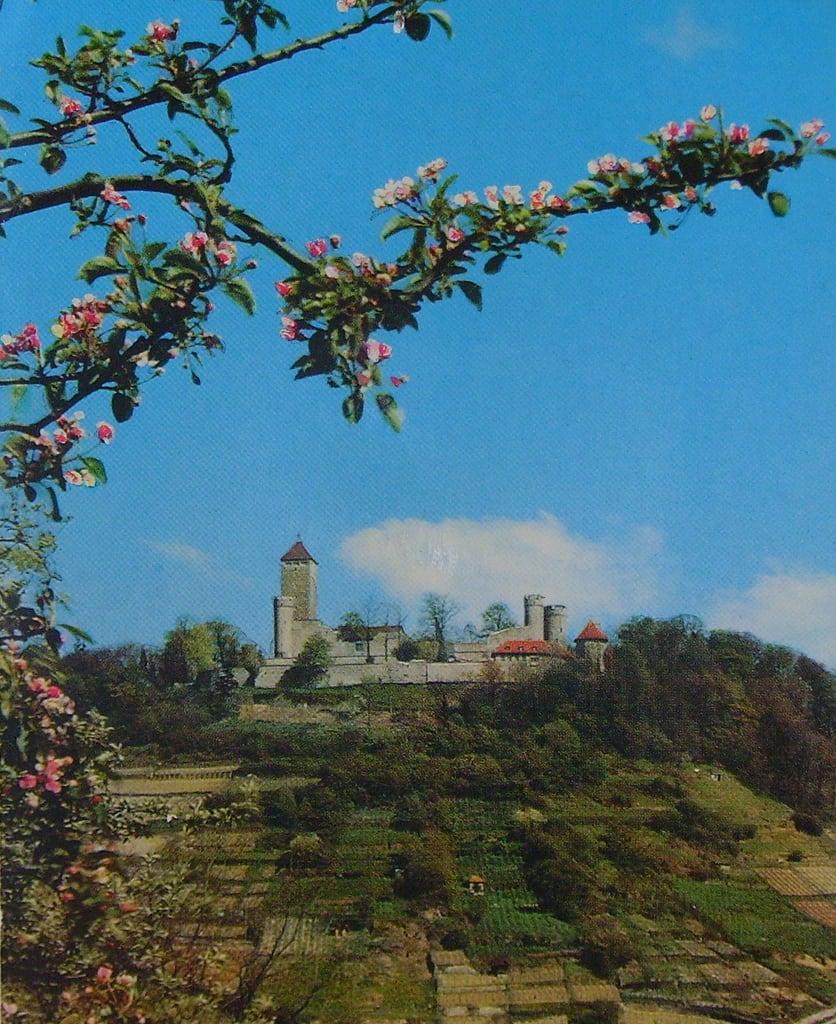 Bilde av Starkenburg. germany postcard