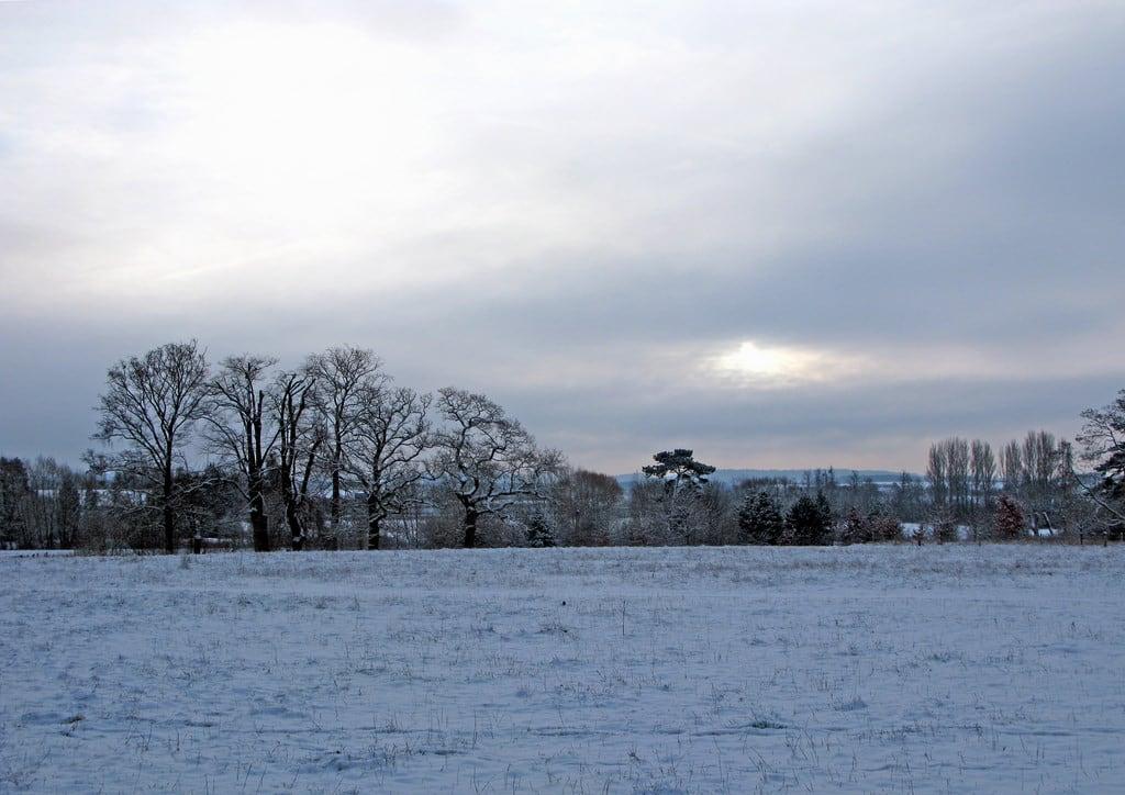 Gambar dari Wallingford Castle. winter oxfordshire wallingford castlemeadow
