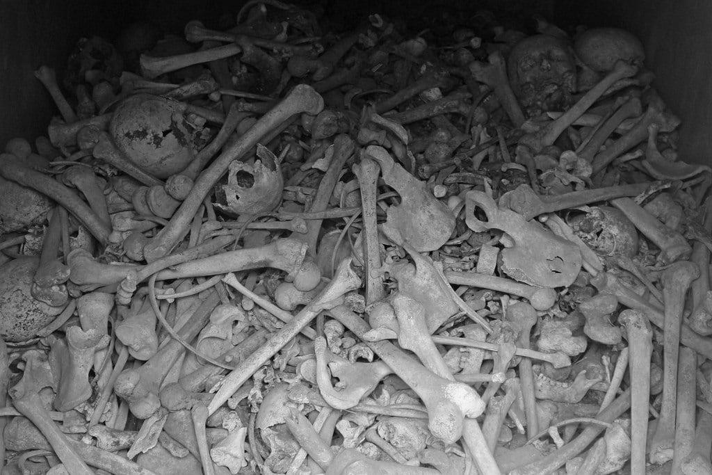 Douaumonti osszárium képe. bw france skull memorial war krieg ossuary bones remains denkmal verdun knochen schädel douaumont beinhaus gebeine