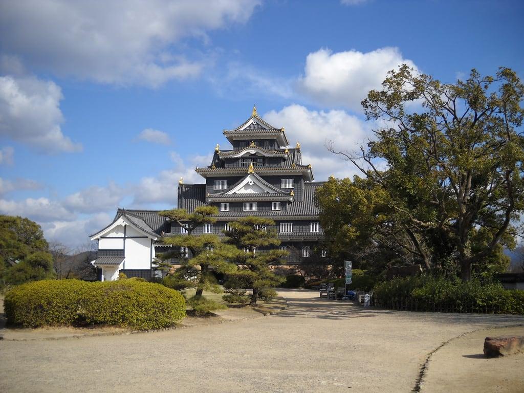 Obrázek 岡山城. castle okayama 岡山城