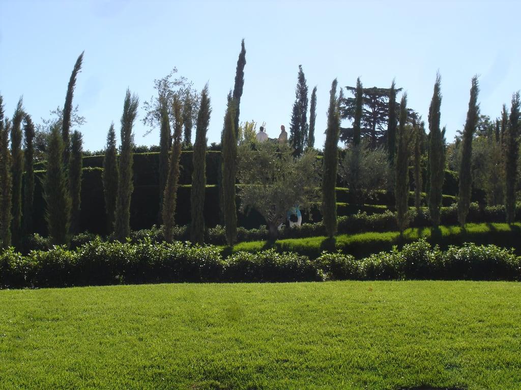 Image of Bosque del Recuerdo. madrid park parque españa spain recuerdo bosque terrorism retiro espagne 11m olivo terrorismo ausentes ciprés