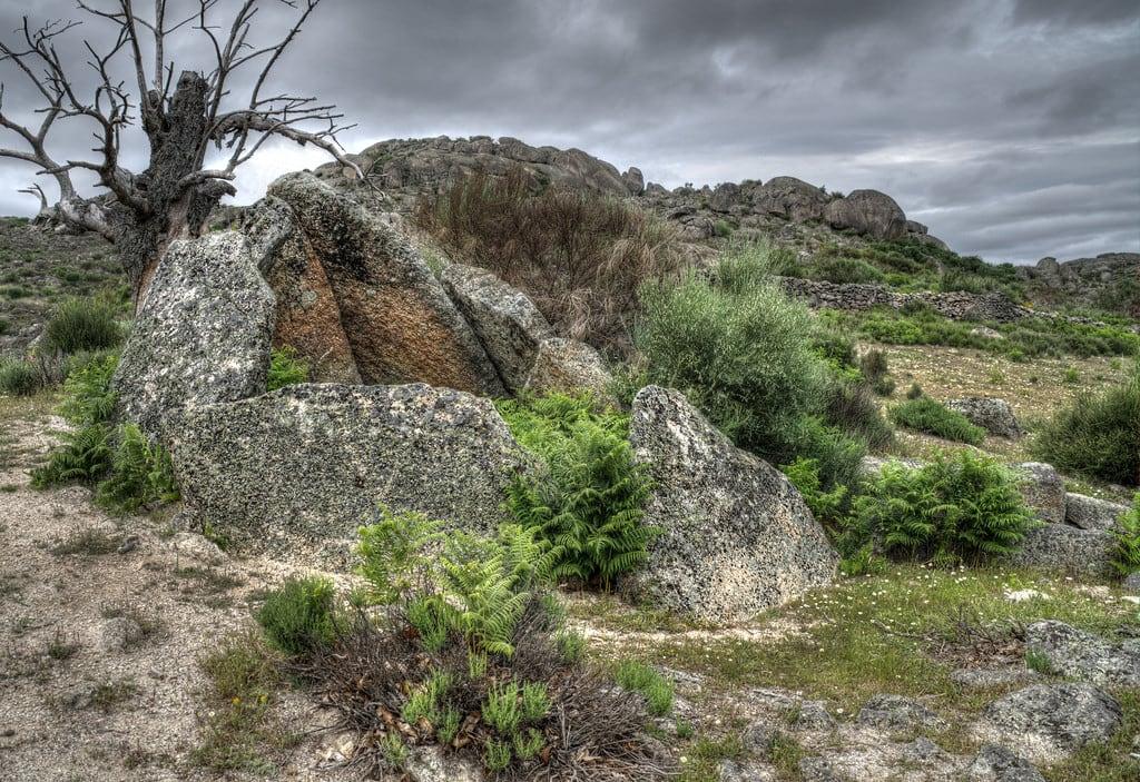 Dolmen Data 1 की छवि. dolmen extremadura alcántara calcolítico