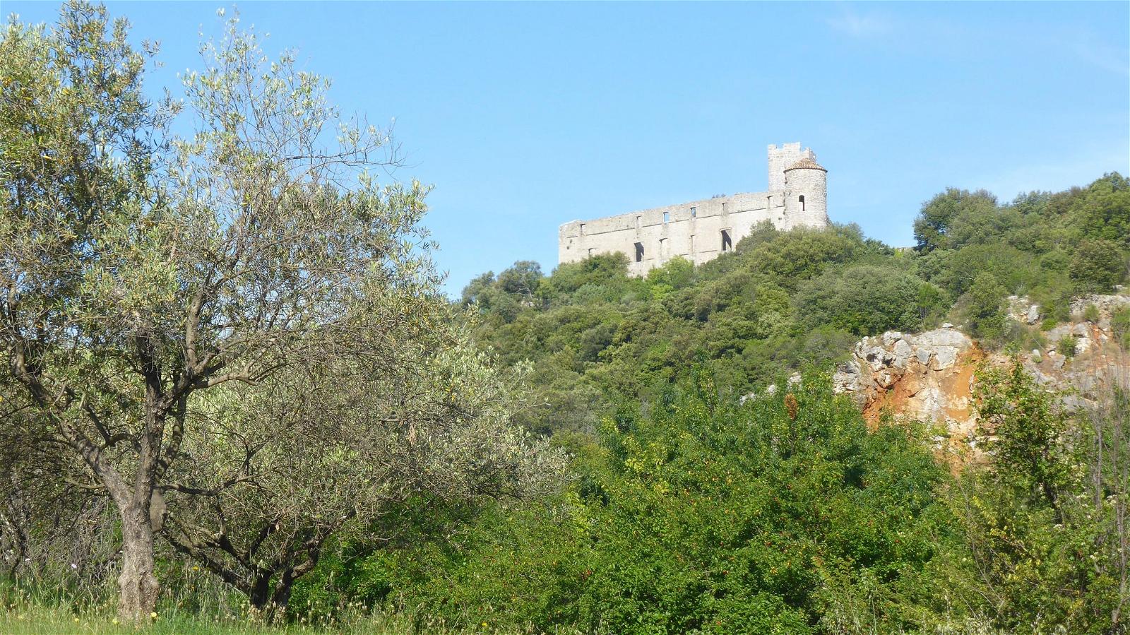 Billede af Château de Tornac. france tornac