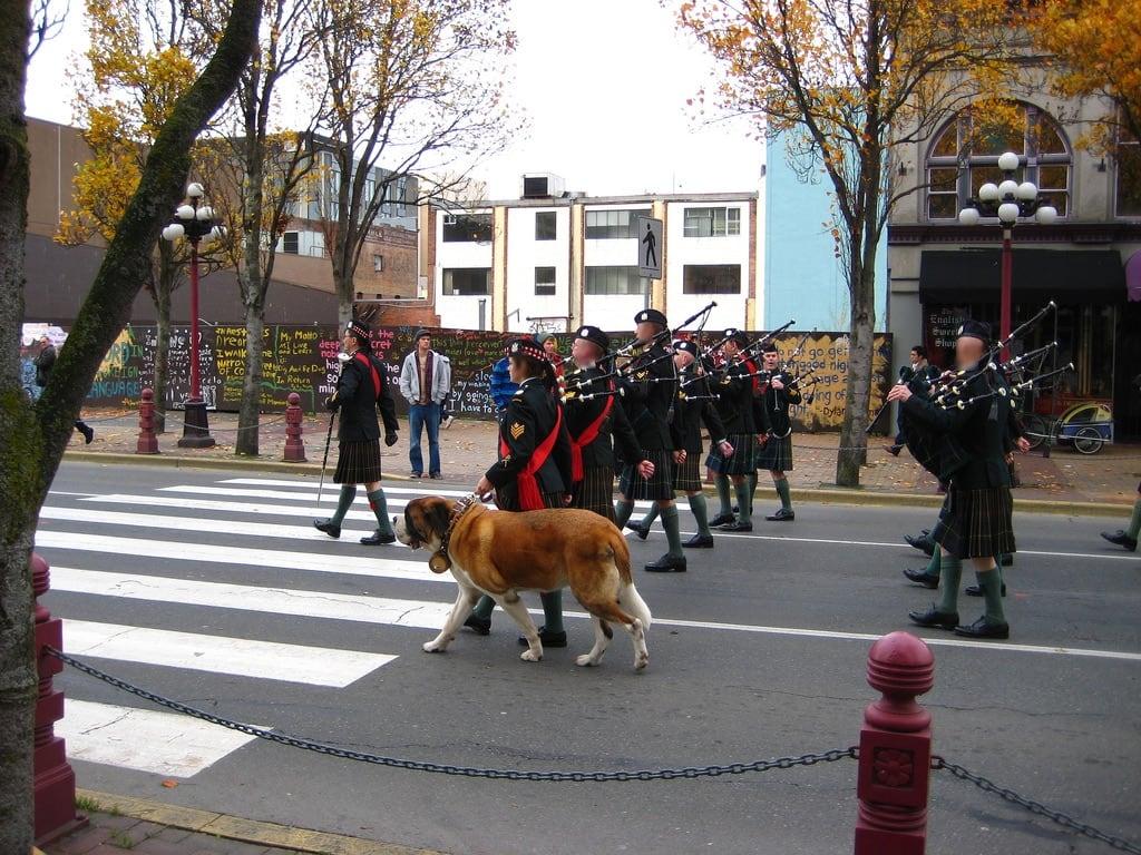 Hình ảnh của Bay Street Armoury. canada march victoria remembranceday veterans november11 canadianscottish