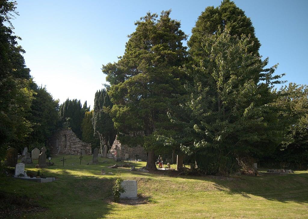 Image of The Rath. ireland summer church cemetery graveyard cemetary ruin sunny medieval monastery rathmichael codublin carrickgollogan pentaxk30 samsung1224mmf4