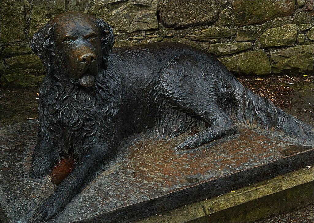 Attēls no Bum the Dog. dog statue scotland edinburgh sandiego princesstreetgardens princesstreet vagabond vagabonddog