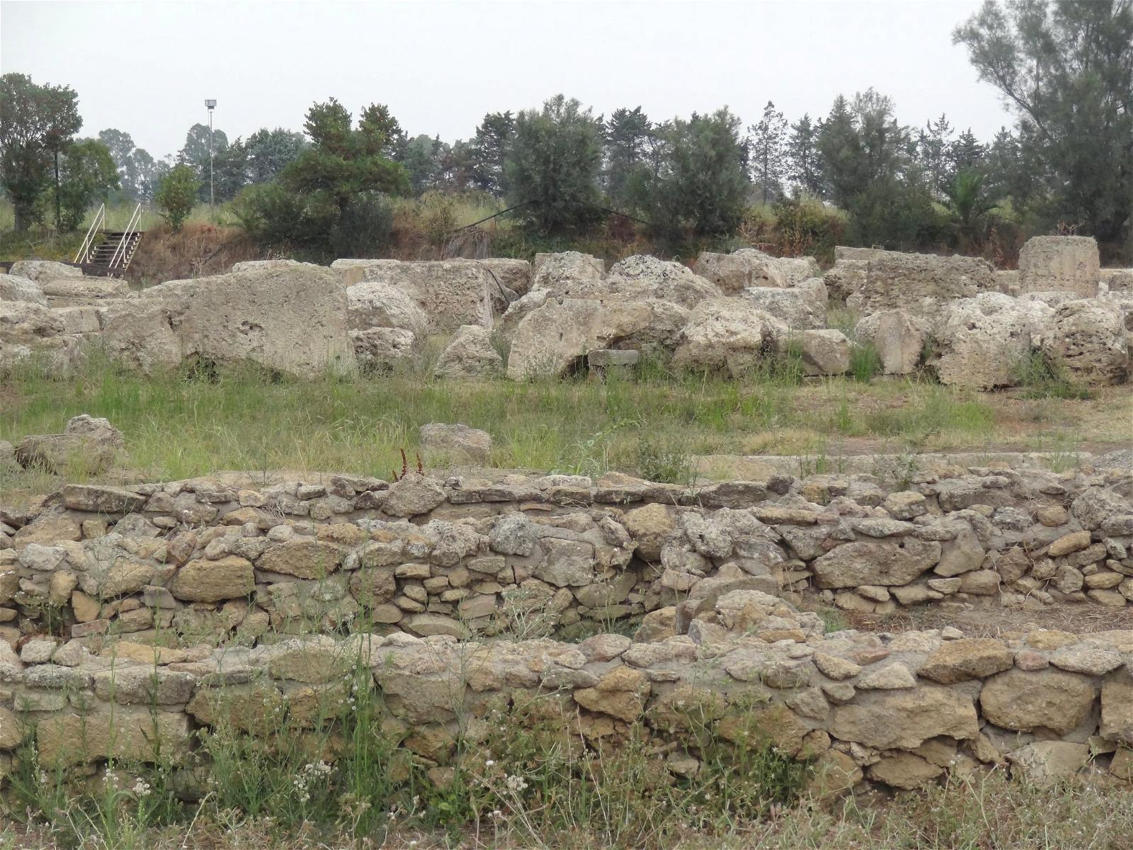 Obrázek Metapontum. history greek stones greece magnagraecia archeology greco archeo archeologia acient scavi ellenistico magnagregia