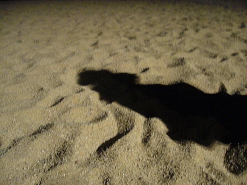 Изображение Aregno Plage - Algajola. shadow france beach night geotagged corsica algajola geo_lat=42609706 geo_lon=8872833