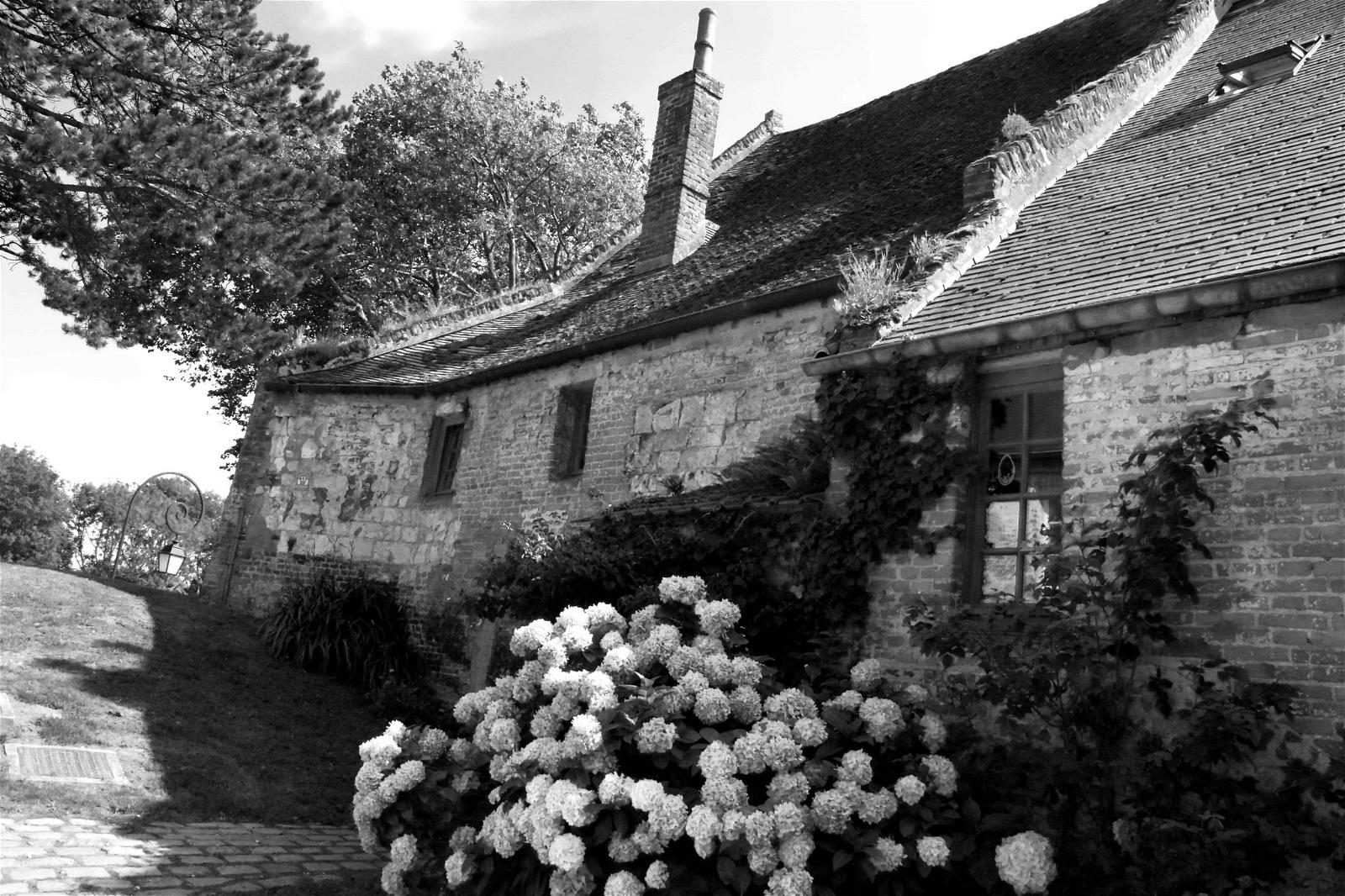 Afbeelding van Citadelle. blackandwhite bw fleur monochrome noiretblanc nb paysage maison hortensia citadelle