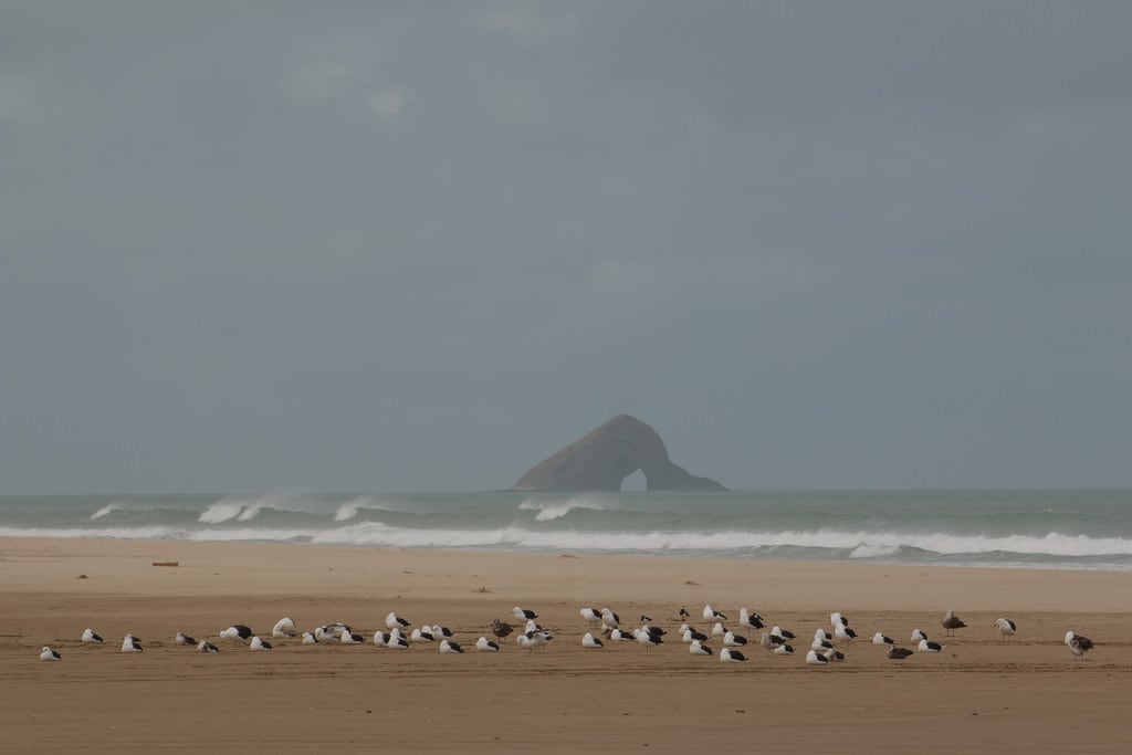 Ninety Mile Beach.