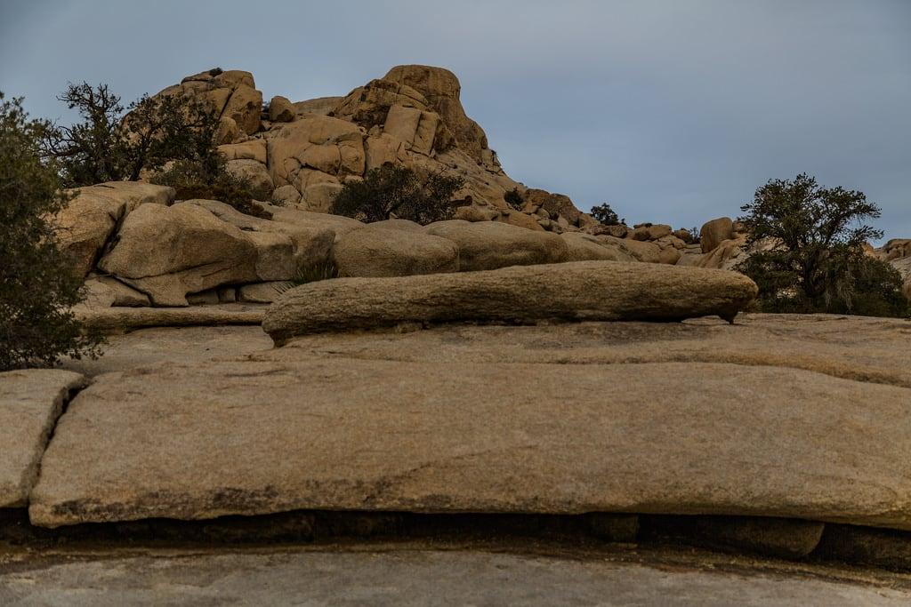 Billede af Barker Dam. california nature us rocks unitedstates joshuatree boulders ledge southerncalifornia snakes twentyninepalms joshuatreenationalpark barkerdam barkerdamnaturetrail