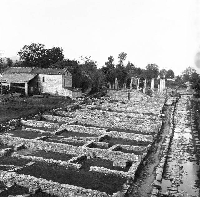 Obrázek Altilia. italy molise campobasso sepino altilia sannio archeologia area archeologica saepinum