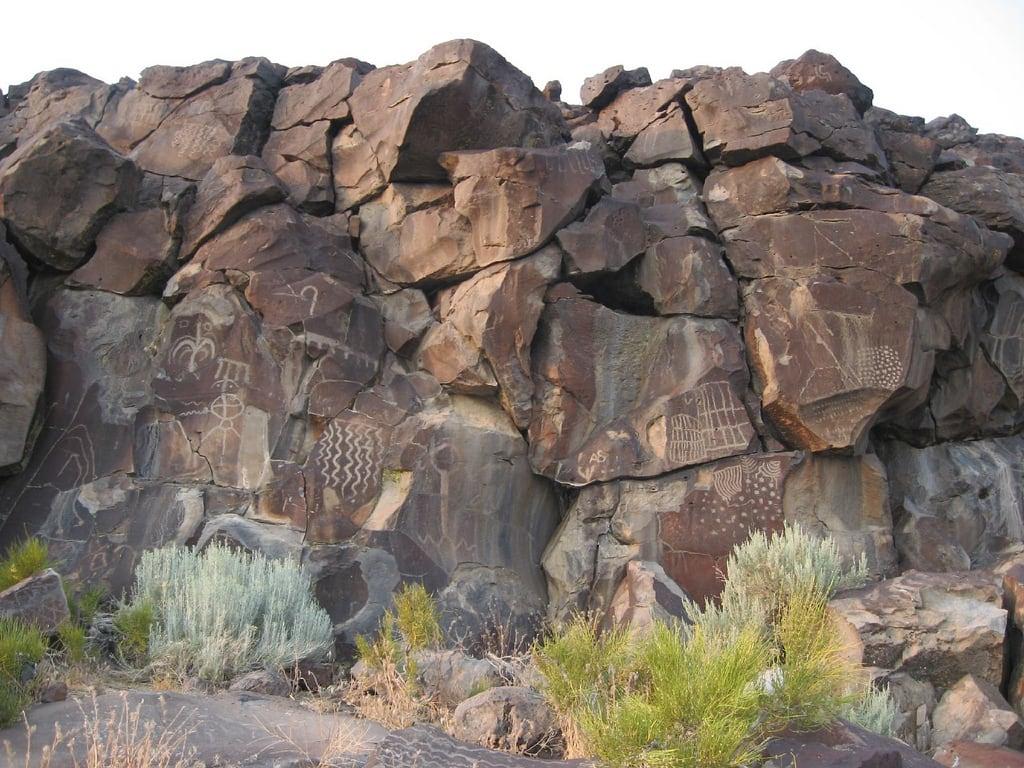 Imagem de Lagomarsino Canyon Petroglyphs. nevada storey rockart petroglyphs greatbasin lagomarsino