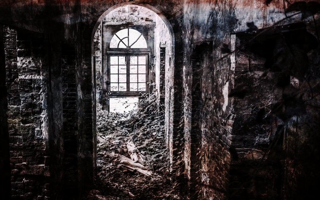 Image de Sissi. white black de noir vert ruine normandie chateau et pays blanc elisabeth sissi fécamp caux sassetot dautriche mauconduit