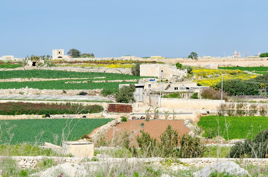 Immagine di Ħaġar Qim temples. megalithic mt malta hagarqim qrendi ilqrendi ħaġarqimtemple
