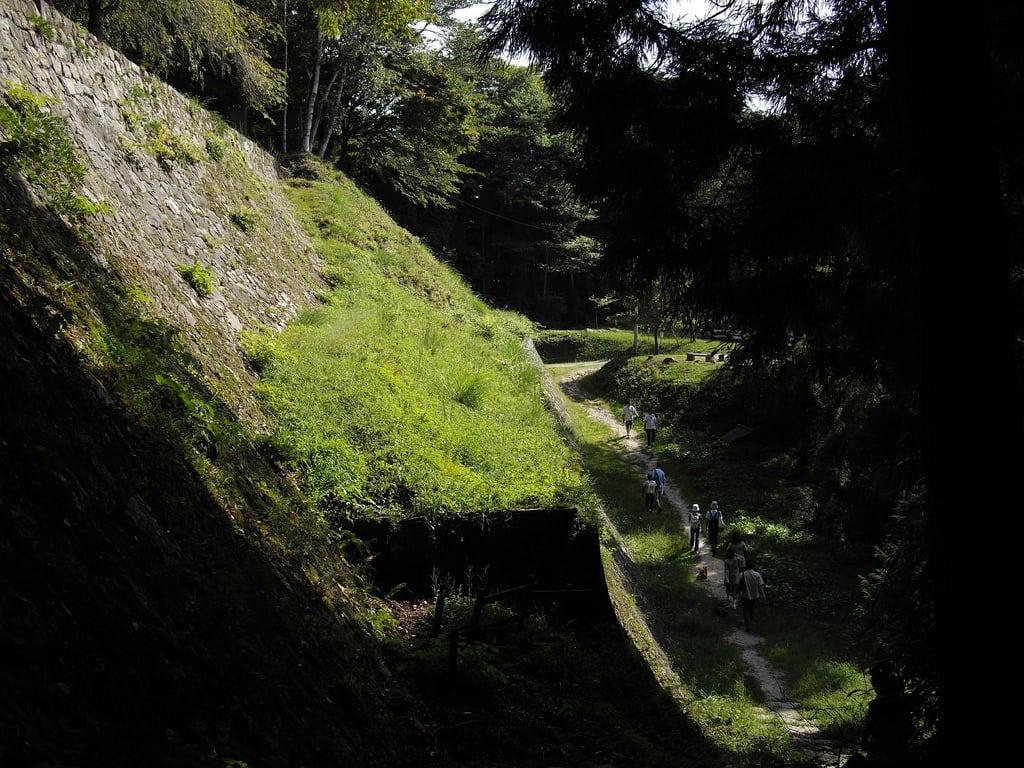 Immagine di Iwamura Castle. castle japan gifu ena iwamura 城跡