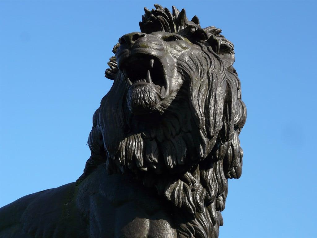 Bild von Maiwand Lion. reading berkshire publicart sculpture forburygardensreading maiwandlionmemorial lionstatues