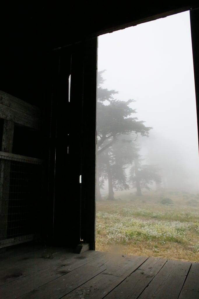 Bild av Historic Pierce Point Ranch. door wood old trees mist field fog barn foggy indoors inside cypress aged pointreyesnationalseashore piercepointranch