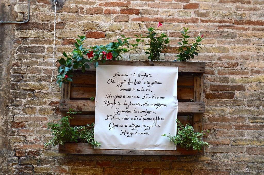 Hình ảnh của Giacomo Leopardi. recanati marche poesia poeta leopardi giacomoleopardi italia italy borgo laquietedopolatempesta cartelli scritte fiori muro wall mattoni