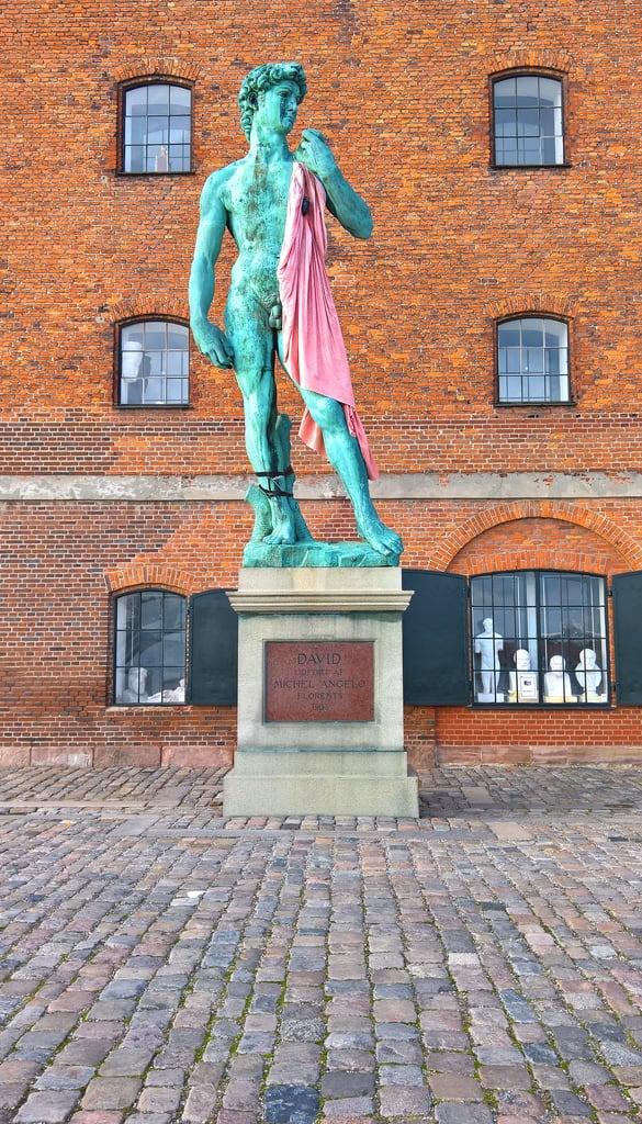 Image of David. michelangelo statue copenhagen denmark bronze pink