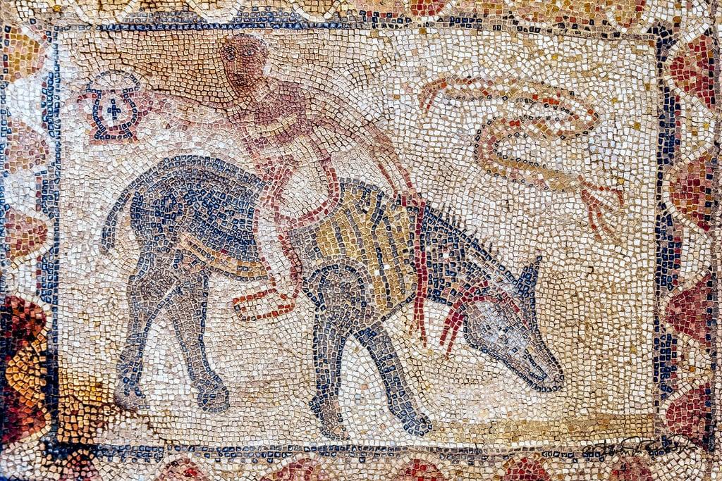Attēls no Mosaic. cstevendosremedios volubilis meknèstafilalet morocco ma