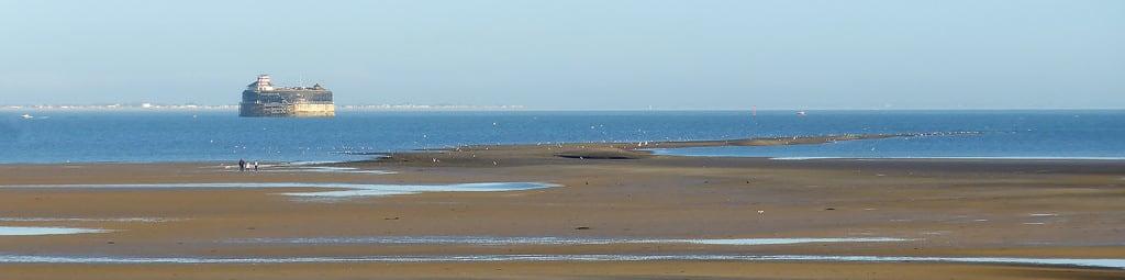 Image de Appley Beach Plage d’une longueur de 924 mètres. ryde sands low spring tide debnigo spit nomanslandfort solent spithead gulls isle wight