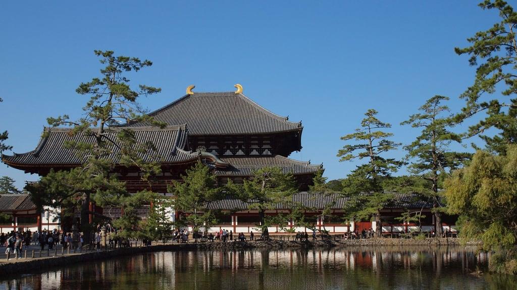 Obrázek Todaiji Temple. todaiji 東大寺 大仏殿 nara temple