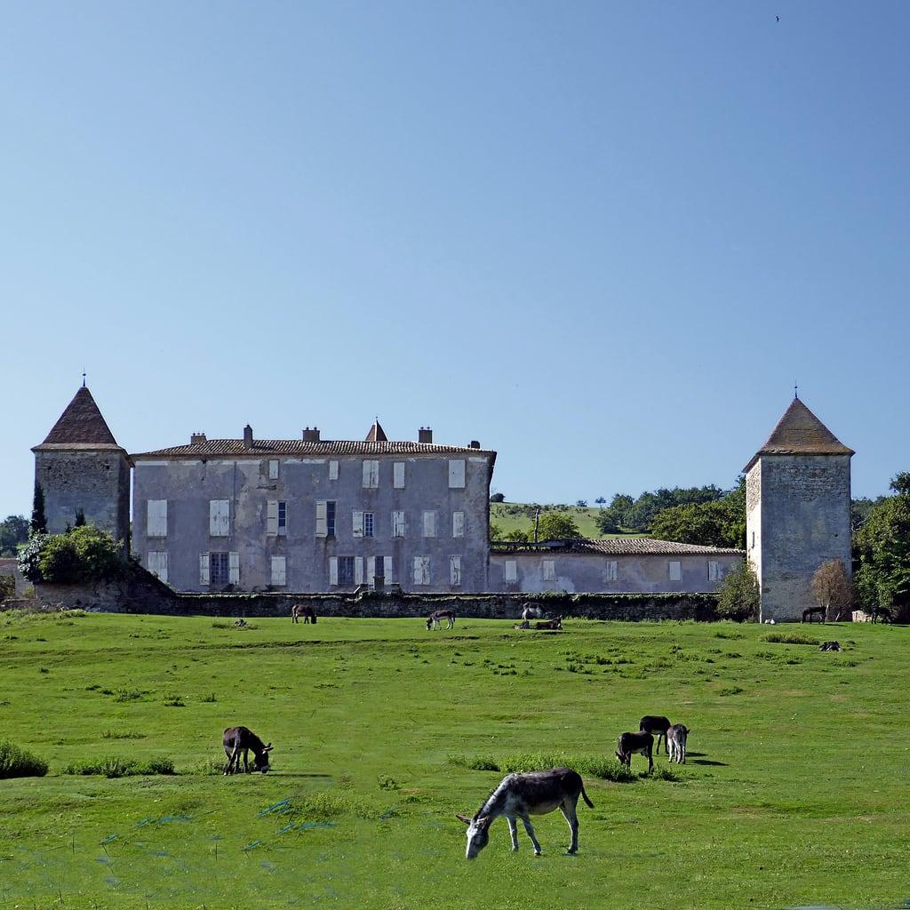 ภาพของ Château de Caudeval. panasonicdmctz101