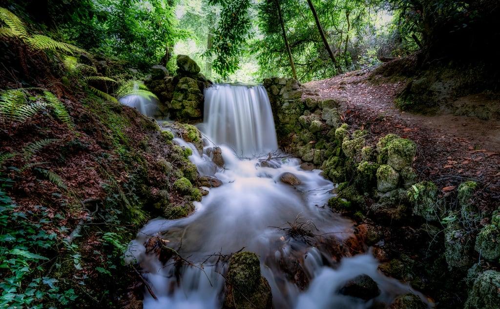 Attēls no Birr Castle. landscapes waterfall birr castle gardens fernery woods water longexposure motionblurr forest
